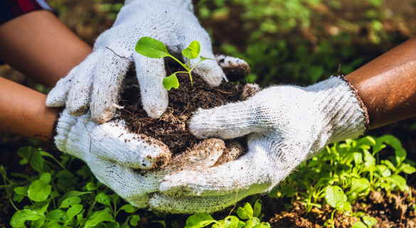 Caring for the Environment Caring for the Environment