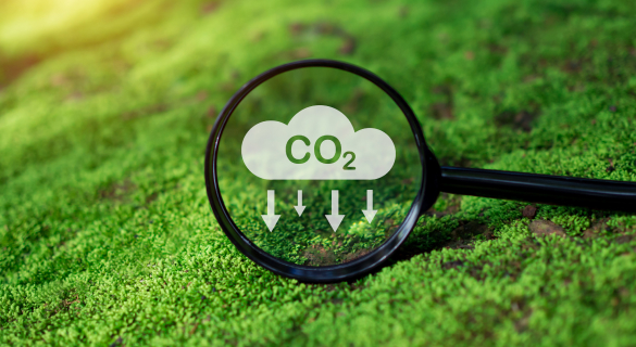 Reducing Carbon Emission Reducing Carbon Emission