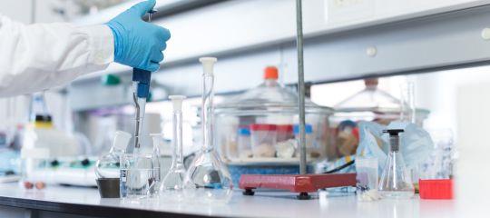 Lab Assistant